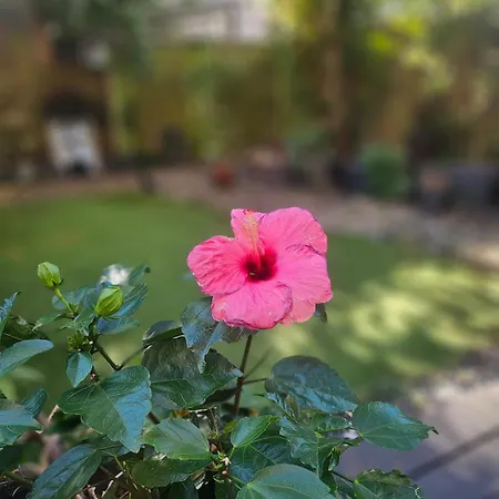 Apartman Canal & Garden In West 10 Mins From Town *